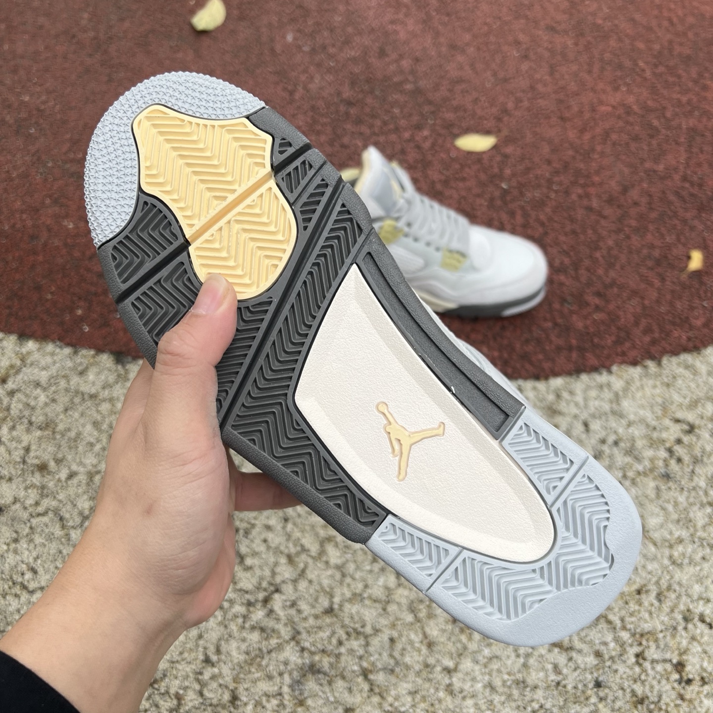 Nike Jordan shoe